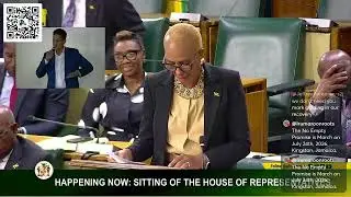 Min of Finance Sitting of the House of Representatives