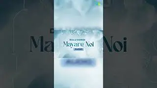 Mayare Noi | Dulu Gogoi | Rex Boro | Assamese Audio Song #assamesemusic #ytshorts