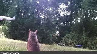Willowemoc Fishing with Hat Camera