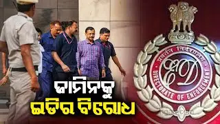 ED moves Delhi High Court challenging Arvind Kejriwal bail order || Kalinga TV