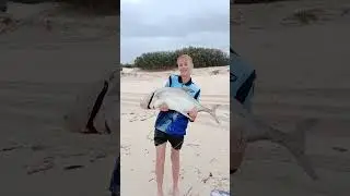 Giant GT on Stradbroke