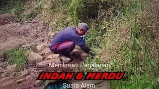 Gunung Pangparang Via Jalur Tenda Biru