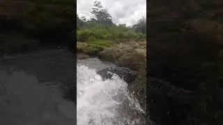 River Water Sound Effect No Copyright #majenanglive #riversound #sound #water #short