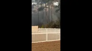Carolina Forest fire blazes behind homes