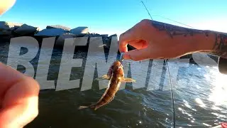 ROUGH DAY on the water. Mayport, FL jetty fishing from boat. #fyp #fishing