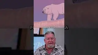 Ex-animador de Disney nos demuestra que la animaci&oacute;n tradicional no ha muerto🔥🐻