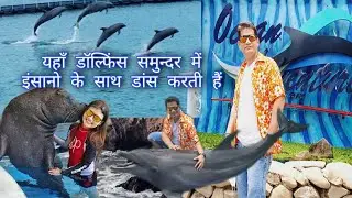 Dolphins & Sea lions in Ocean Adventure Park #OceanAdventure #Subic | Indian Vlogger