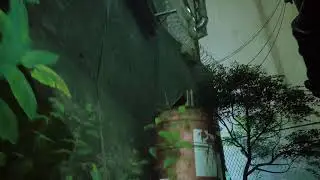 Stray - A Gato story