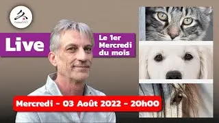 BARF, Nourriture m&eacute;nag&egrave;re ou Croquettes ? Quelle alimentation choisir pour votre chien ?
