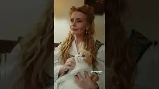 pussy cat funny short #shorts #cat#catlover #youtubeshorts #catvideos #pussycat #pussytalk