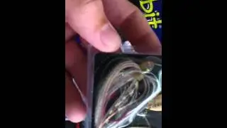New fishing supplies from Stanley Baits!