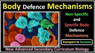 Transport In Humans-7-Body Defence Mechanisms and Immunological Interactions