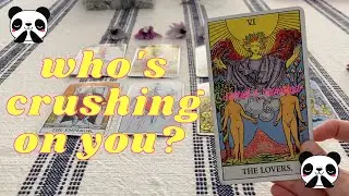 PICK A CARD🔮 WHO'S CRUSHING ON YOU? 💝 WHO'S HIDING THEIR FEELINGS FOR YOU? 🤐 SECRETS REVEALED!!