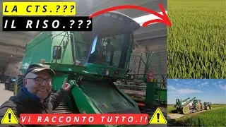 RISO : VI RACCONTO COS'E' SUCCESSO | CTS RICE  