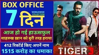 Tiger 3 box office collection, Salman khan , tiger 3 box office collection