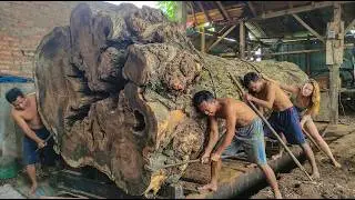 The Cleanest Giant Log Cut You Will Ever See