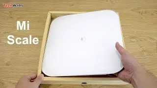 Xiaomi Mi Smart Scale Unboxing