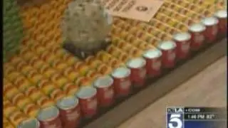KTLA 11182010 Gayle Anderson Canstruction