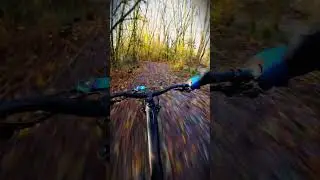 Didn&rsquo;t expect the grip here&hellip; #mtb #schwalbe #shredda