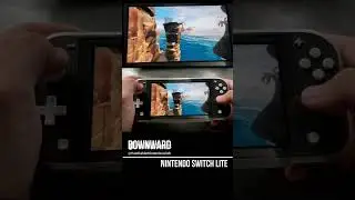 Downward Nintendo Switch Lite Gameplay