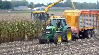 Mais hakselen in Roggel met de New Holland FR 9050