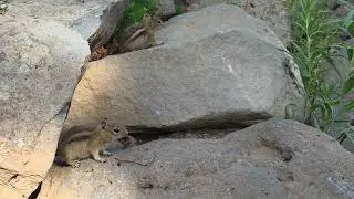 Video of Island Lake Campground, CO from Adam O.