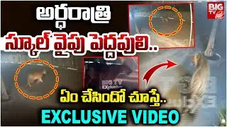Tiger Spotted at Diwancheruvu | Tiger Alert in Rajahmundry | అర్ధరాత్రి స్కూల్ వైపు పెద్దపులి..