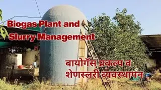 Biogas Plant and Slurry Management बायोगॅस व शेनस्लरी व्यवस्थापन