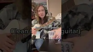 Lindo acoustic x Hologram Electronics Microcosm
