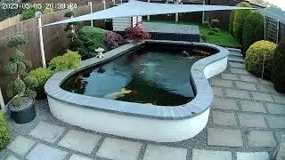 Koi Pond ...new solar CCTV camera added last weekend (link in description 😉👍)