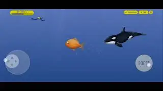 لعبه السمكه التي كانت صغيره واصبحت كبيرهtasty blue
