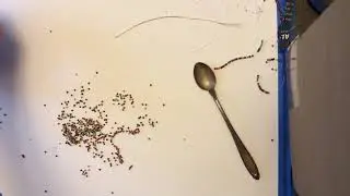 Sorting mixed seed beads by color - the fast(ish) way