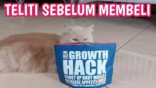 REVIEW OF CAT VITAMINS 