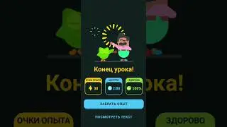 Kangaroo Chat App (Chatting with Bea) - DuoLingo Listening Comprehension (En-Ru)