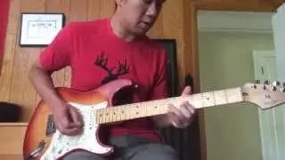 Dean Markley Blue Steel Strings on Texas Special Stratocaster Demo