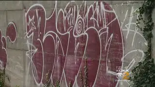Pittsburgh Police Seeking Help Identifying Vandals &lsquo;Tagging&rsquo; City Spots