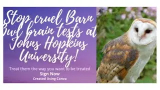 Stop Cruel Barn Owl Brain Tests at JHU!/ Sign Now!
