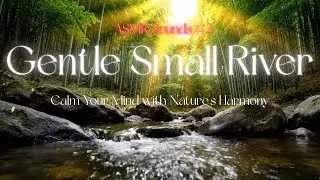 Peaceful River Sounds ASMR #03 | Focus & Study Aid