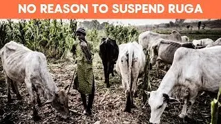 Miyetti Allah&rsquo;s Position on RUGA