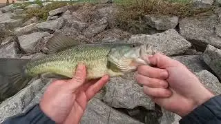 Friendly Neighborhood Fishing Buffalo NY pt.2