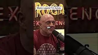 Tim Sylvia one of one