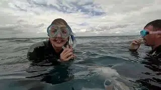 Hervey Bay Dive Centre: Inside the marine oasis | My Way