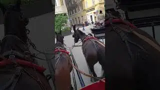 Horse Carriage Overtaking Another 🐴✨ | Timeless Street Moment#shorts