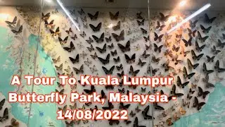 A Tour To Kuala Lumpur Butterfly Park, Malaysia - 14/08/2022