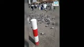 Pigeons in Makkah |  Makkah pigeons #youtubeshorts  #ytshorts #makkahpigeons #pigeonsinmakkah