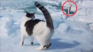 10 Animals That Saved People's Lives