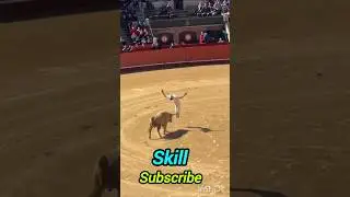 Incredible Bullfighter Skills 😱 | Unbelievable Reflex and Control!