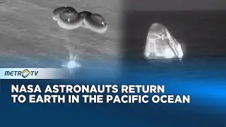 Welcomed by Friendly Dolphins as SpaceX Dragon Endeavour Land
