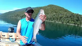 gran pelea con una trucha arcoiris, tecnicas infalibles para pescar embarcado