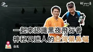 黑夜飛行者！神秘又迷人的台灣葉鼻蝠｜ft.台北市蝙蝠保育學會 毛球老師｜聰到現場 EP.2 公視我們的島